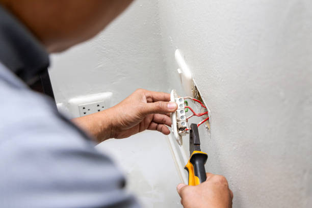 Best Licensed Electrician  in Spring Valley, IL